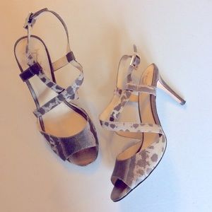 Dressy Snakeskin Shoes